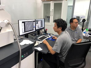 公共技術服務中心開展蔡司掃描電鏡培訓，提升技術服務水平